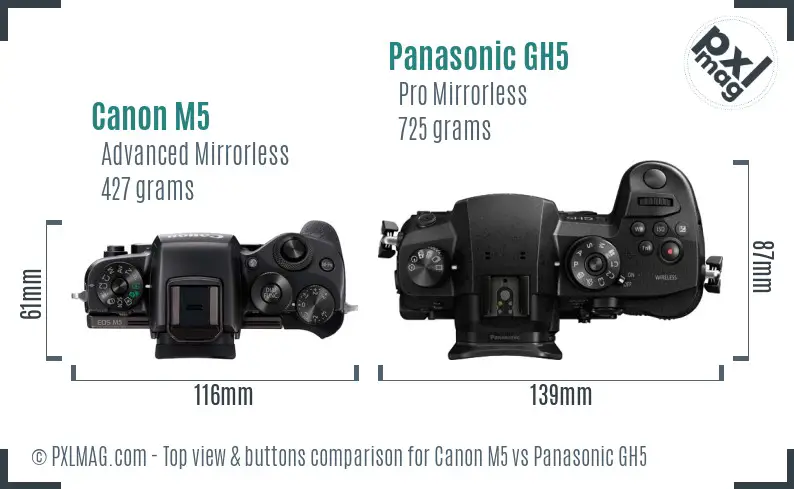 Canon M5 vs Panasonic GH5 top view buttons comparison