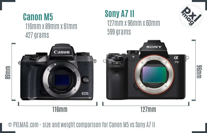 Canon M5 vs Sony A7 II size comparison
