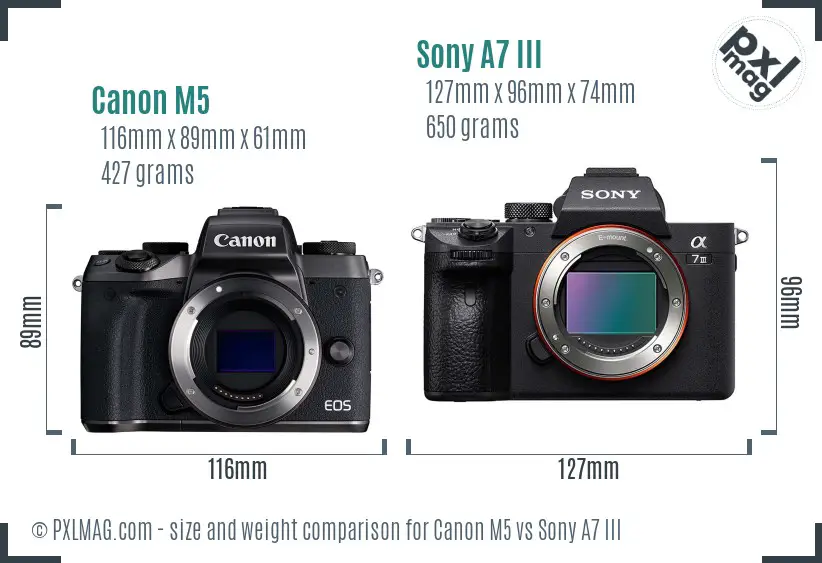 Canon M5 vs Sony A7 III size comparison