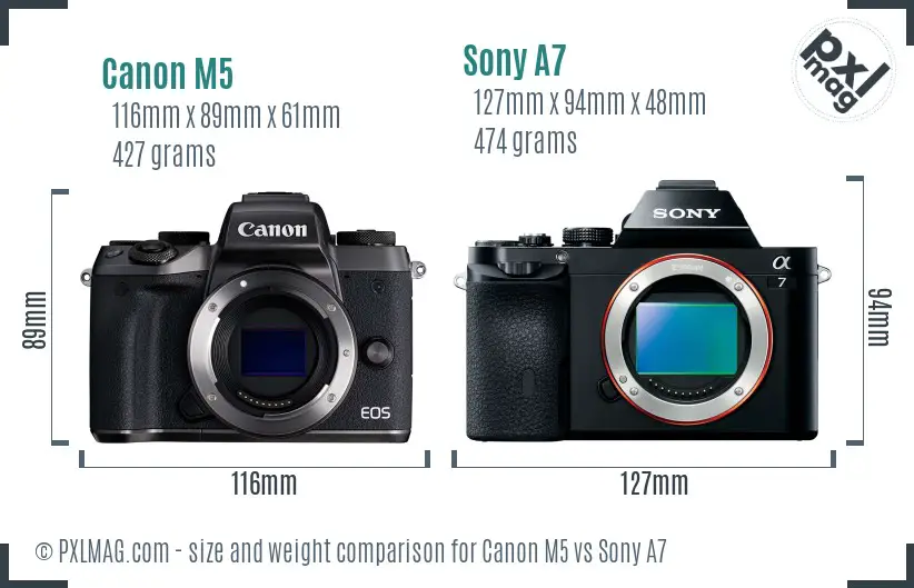 Canon M5 vs Sony A7 size comparison