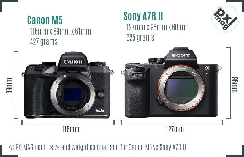 Canon M5 vs Sony A7R II size comparison