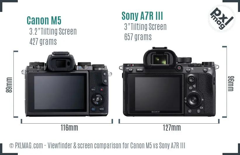Canon M5 vs Sony A7R III Screen and Viewfinder comparison