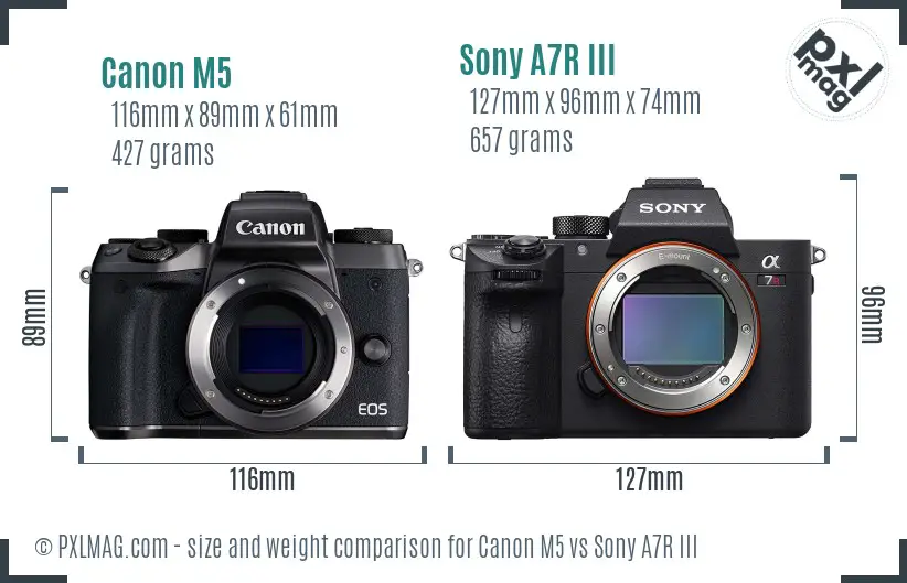 Canon M5 vs Sony A7R III size comparison