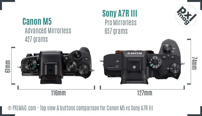 Canon M5 vs Sony A7R III top view buttons comparison