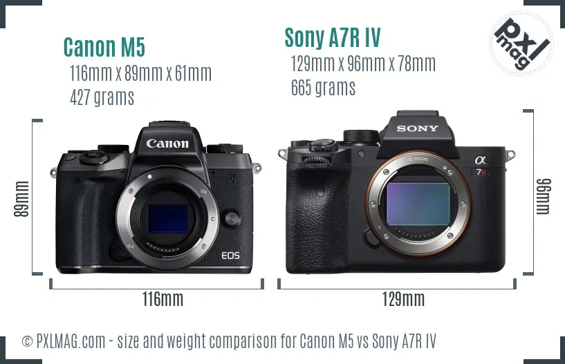 Canon M5 vs Sony A7R IV size comparison Canon M5 vs Sony A7R IV size comparison