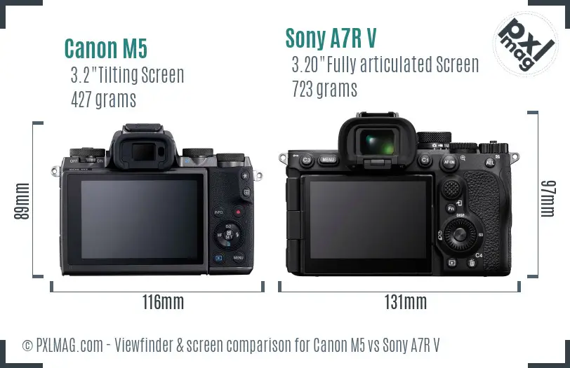 Canon M5 vs Sony A7R V Screen and Viewfinder comparison