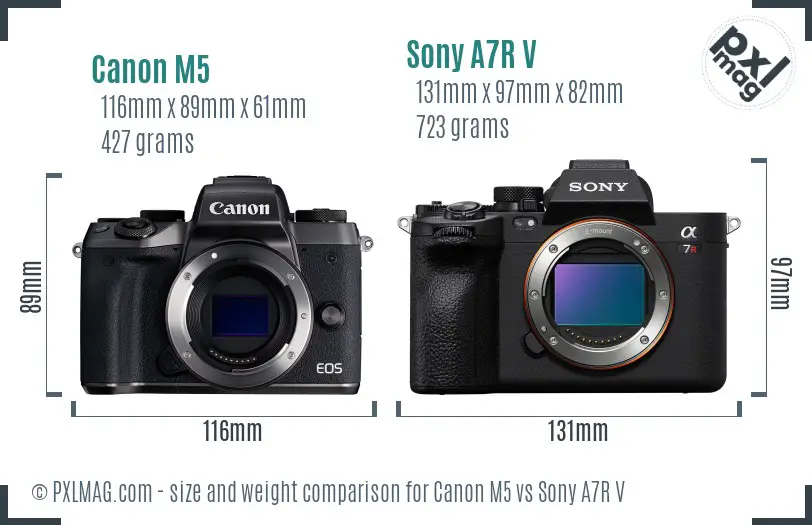 Canon M5 vs Sony A7R V size comparison