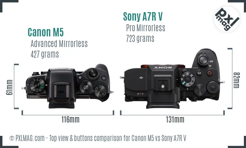 Canon M5 vs Sony A7R V top view buttons comparison