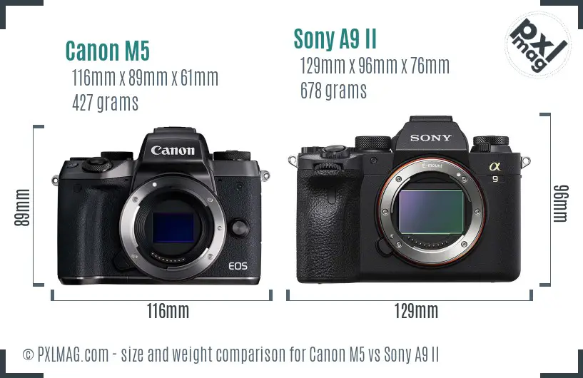 Canon M5 vs Sony A9 II size comparison