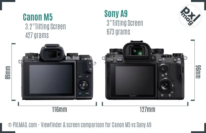 Canon M5 vs Sony A9 Screen and Viewfinder comparison