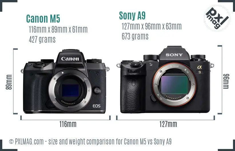 Canon M5 vs Sony A9 size comparison