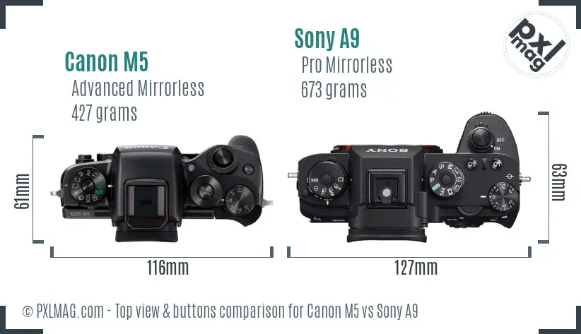 Canon M5 vs Sony A9 top view buttons comparison