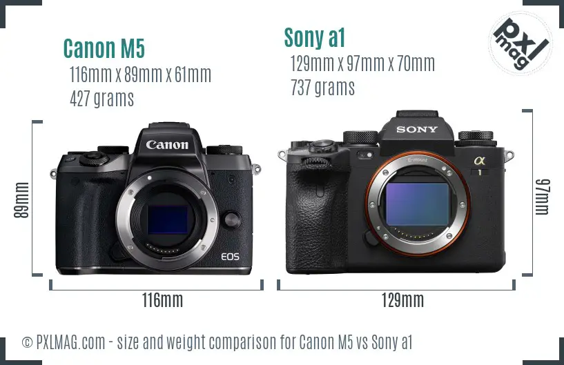Canon M5 vs Sony a1 size comparison
