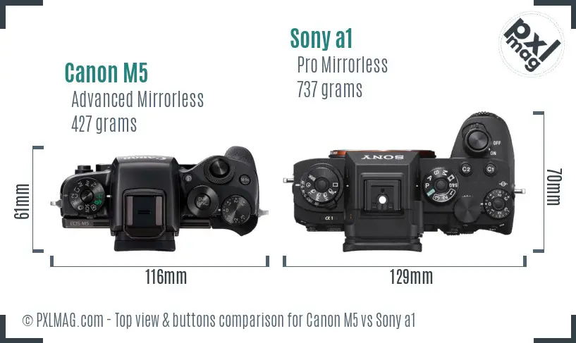 Canon M5 vs Sony a1 top view buttons comparison