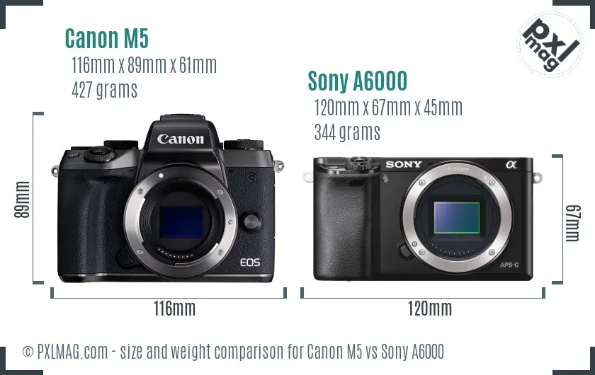 Canon M5 vs Sony A6000 size comparison