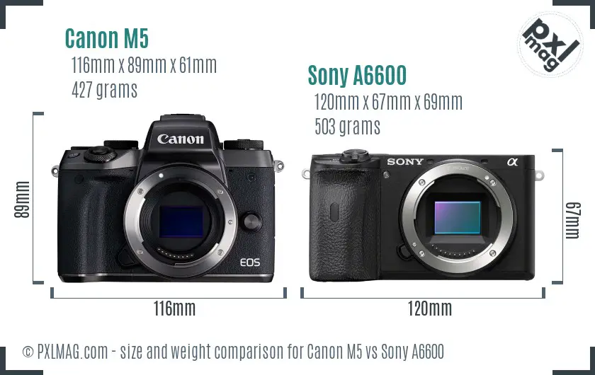 Canon M5 vs Sony A6600 size comparison
