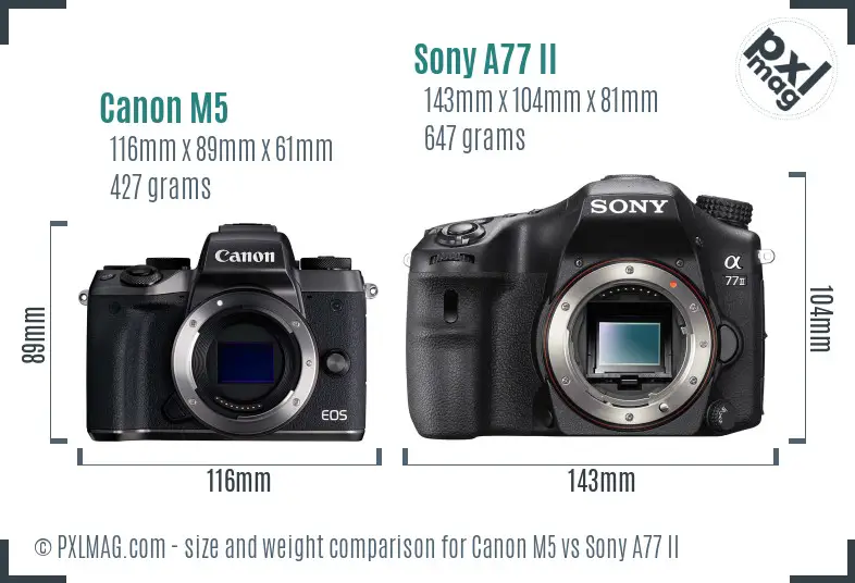 Canon M5 vs Sony A77 II size comparison
