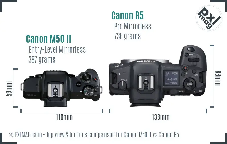 Canon M50 II vs Canon R5 top view buttons comparison