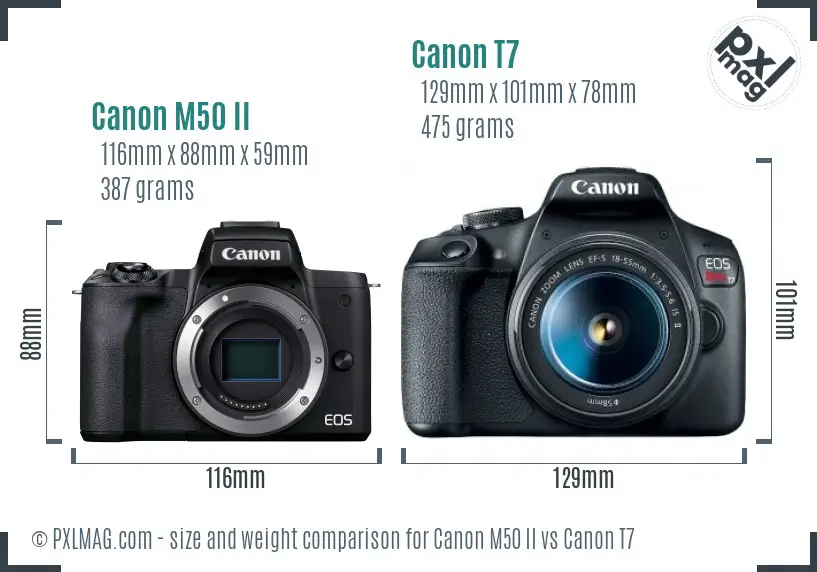 Canon M50 II vs Canon T7 size comparison