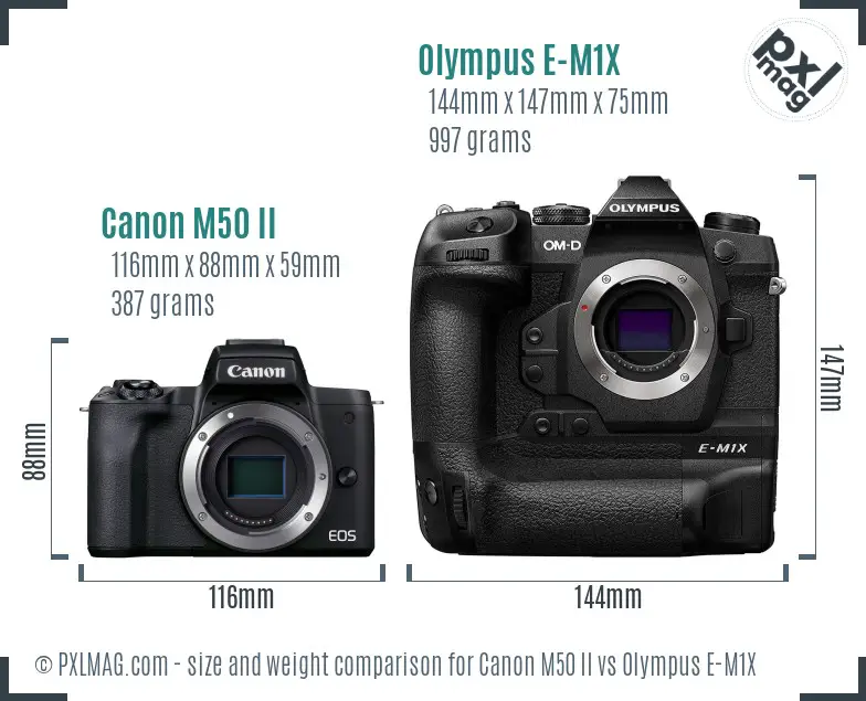 Canon M50 II vs Olympus E-M1X size comparison