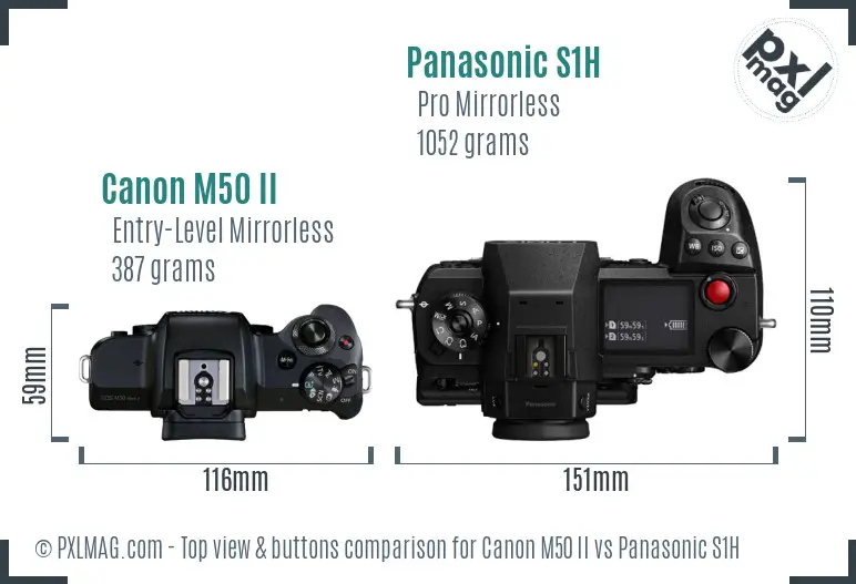 Canon M50 II vs Panasonic S1H top view buttons comparison