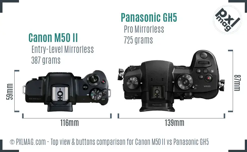 Canon M50 II vs Panasonic GH5 top view buttons comparison