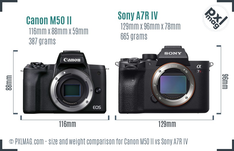 Canon M50 II vs Sony A7R IV size comparison