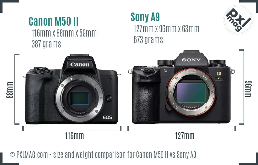 Canon M50 II vs Sony A9 size comparison