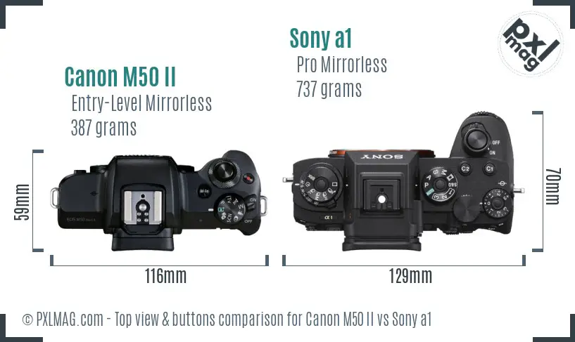 Canon M50 II vs Sony a1 top view buttons comparison
