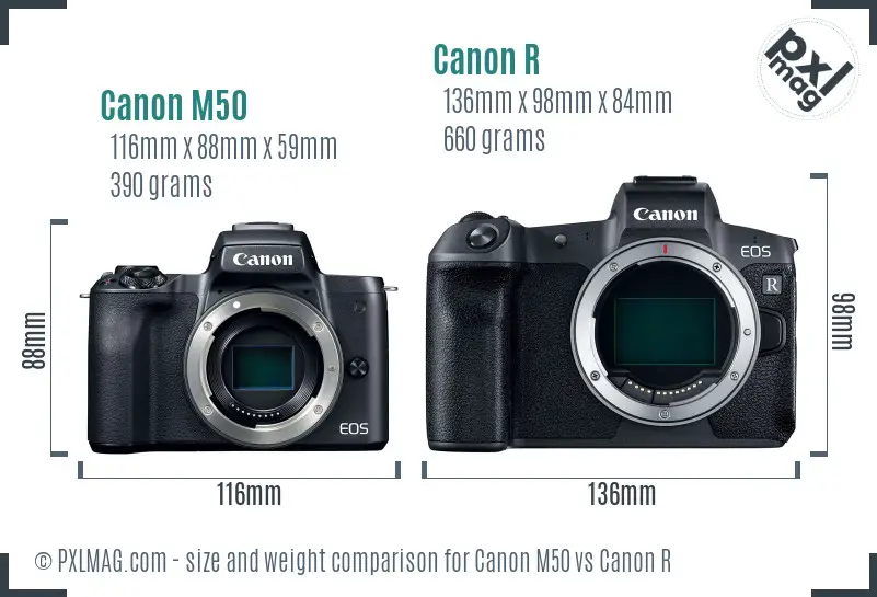 Canon M50 vs Canon R size comparison