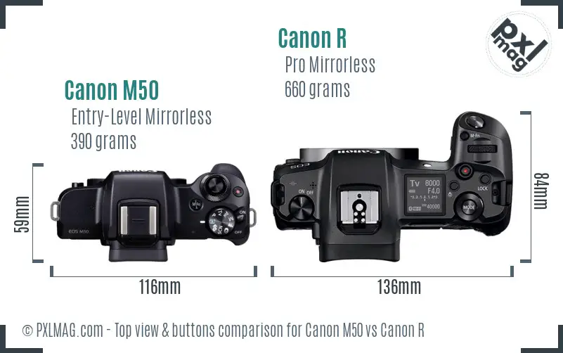 Canon M50 vs Canon R top view buttons comparison
