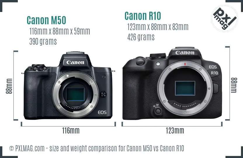 Canon M50 vs Canon R10 size comparison