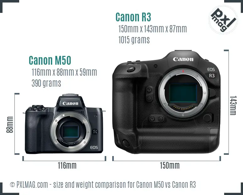 Canon M50 vs Canon R3 size comparison