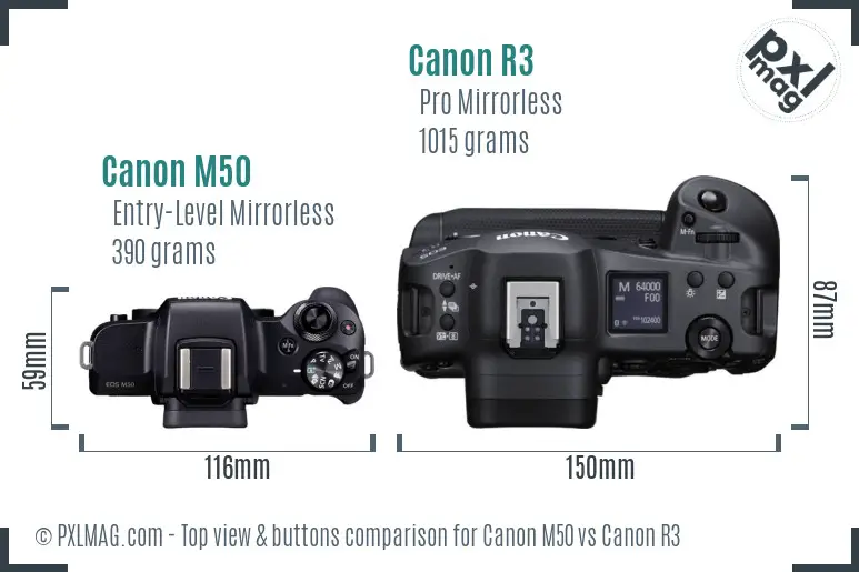 Canon M50 vs Canon R3 top view buttons comparison