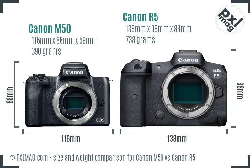 Canon M50 vs Canon R5 size comparison