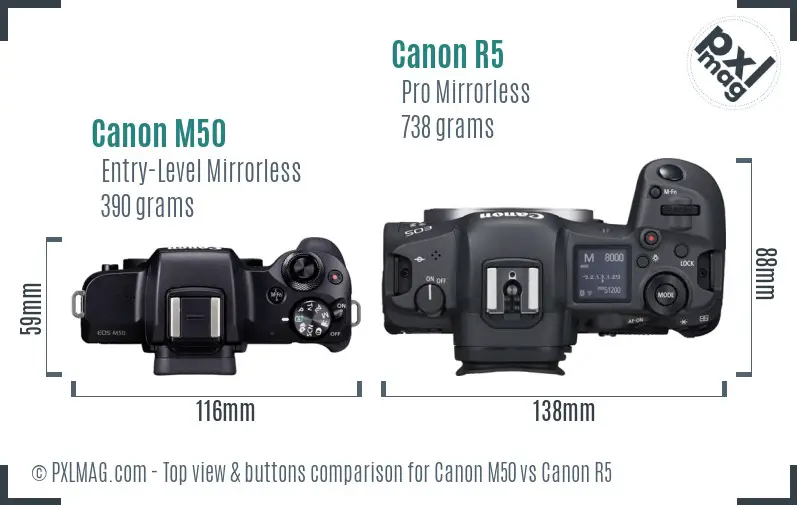 Canon M50 vs Canon R5 top view buttons comparison
