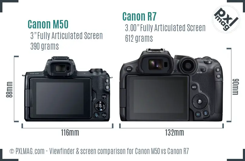 Canon M50 vs Canon R7 Screen and Viewfinder comparison