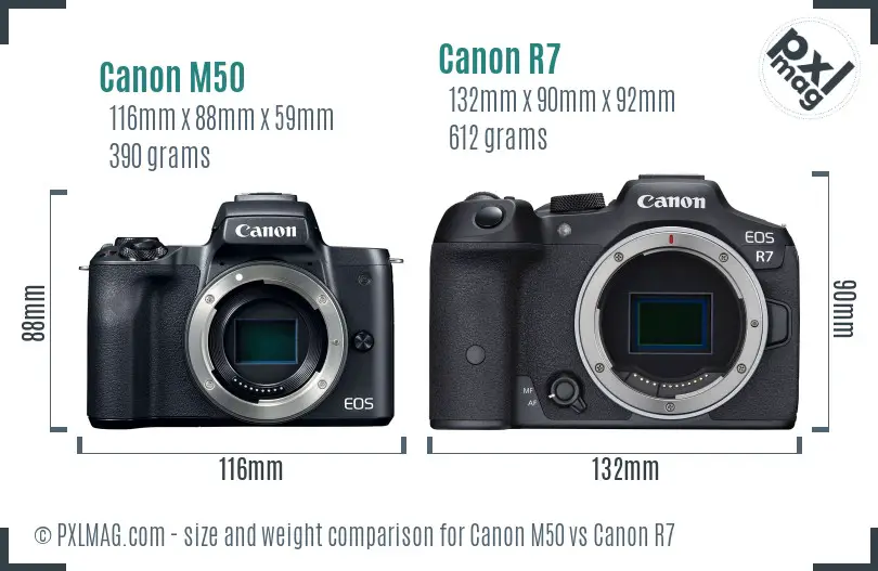 Canon M50 vs Canon R7 size comparison