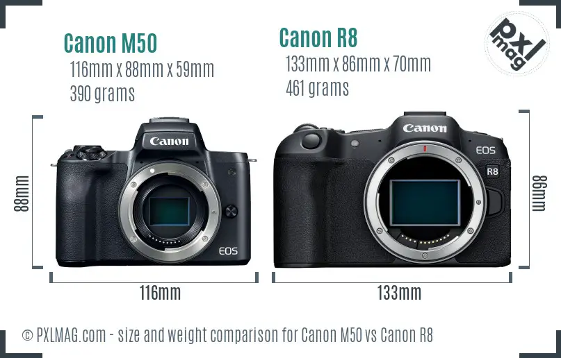 Canon M50 vs Canon R8 size comparison