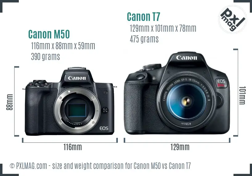 Canon M50 vs Canon T7 size comparison