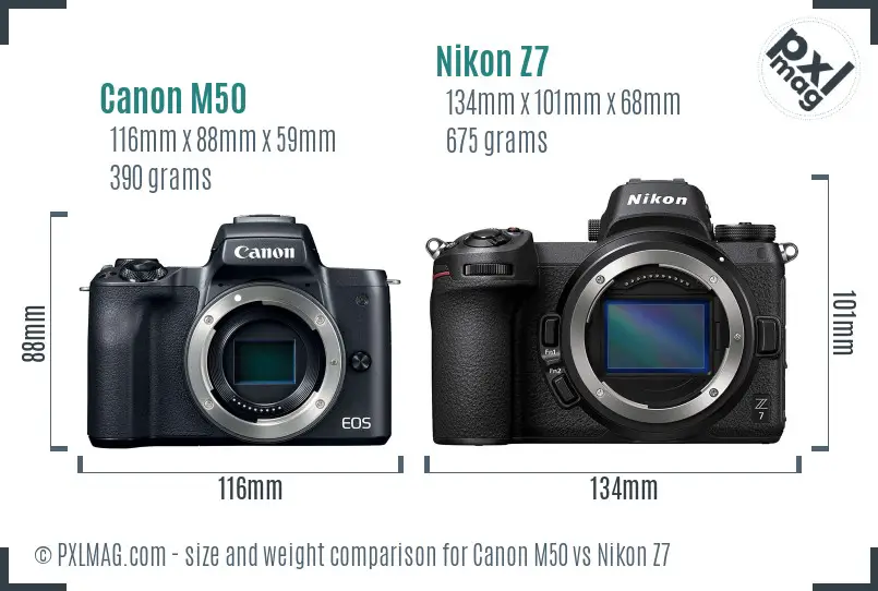 Canon M50 vs Nikon Z7 size comparison