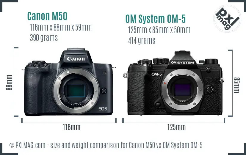 Canon M50 vs OM System OM-5 size comparison