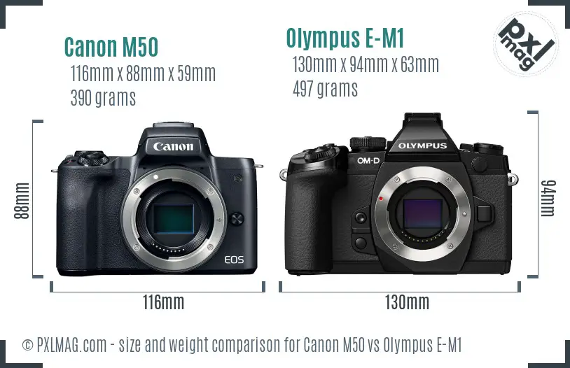 Canon M50 vs Olympus E-M1 size comparison