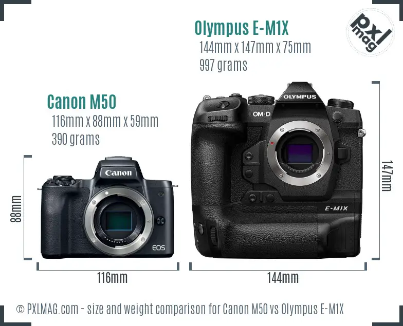 Size and Ergonomics Comparison