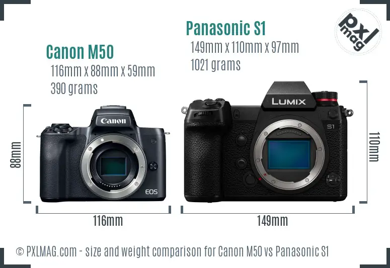 Canon M50 vs Panasonic S1 size comparison Canon M50 vs Panasonic S1 size comparison