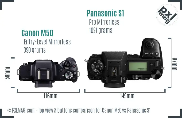 Canon M50 vs Panasonic S1 top view buttons comparison Canon M50 vs Panasonic S1 top view buttons comparison