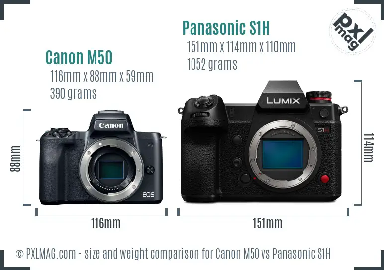Canon M50 vs Panasonic S1H size comparison