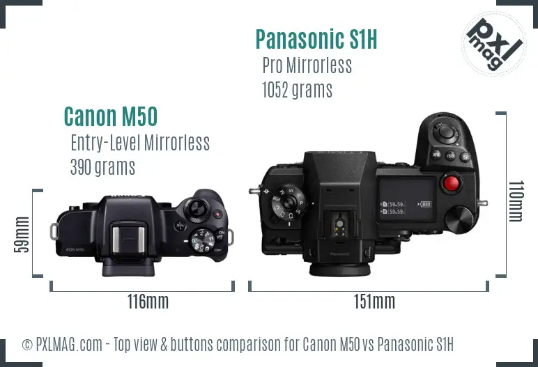 Canon M50 vs Panasonic S1H top view buttons comparison