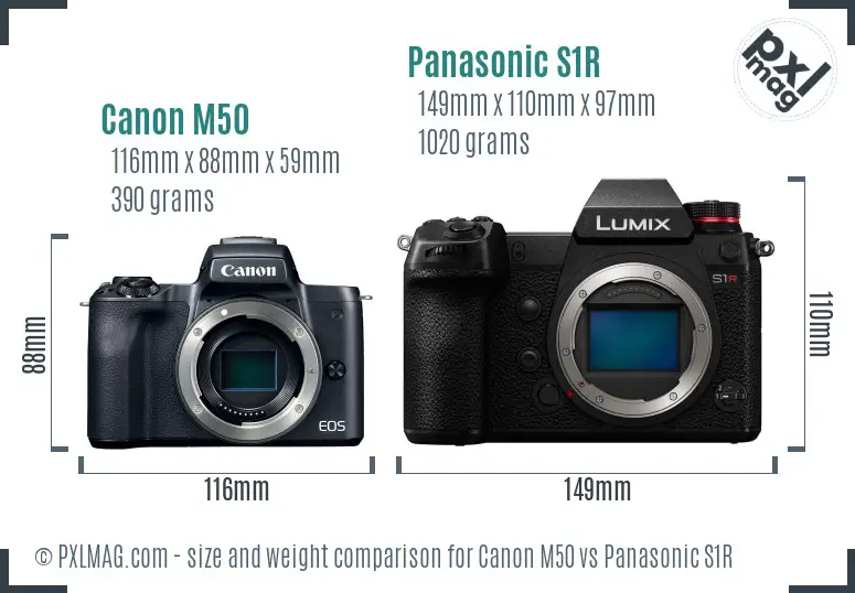 Canon M50 vs Panasonic S1R size comparison Canon M50 vs Panasonic S1R size comparison
