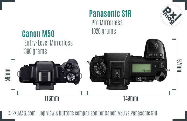 Canon M50 vs Panasonic S1R top view buttons comparison